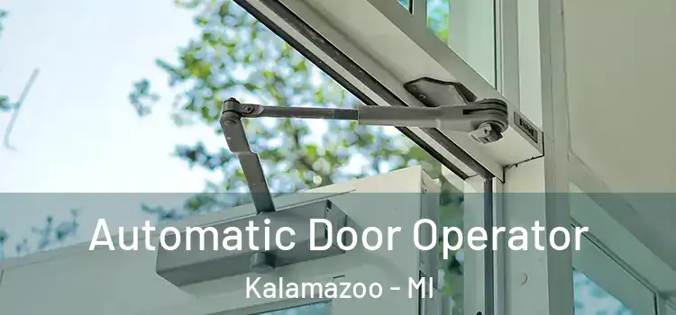 Automatic Door Operator Kalamazoo - MI