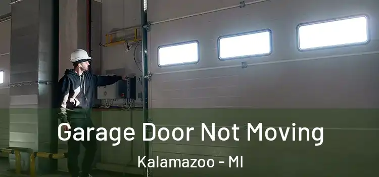  Garage Door Not Moving Kalamazoo - MI