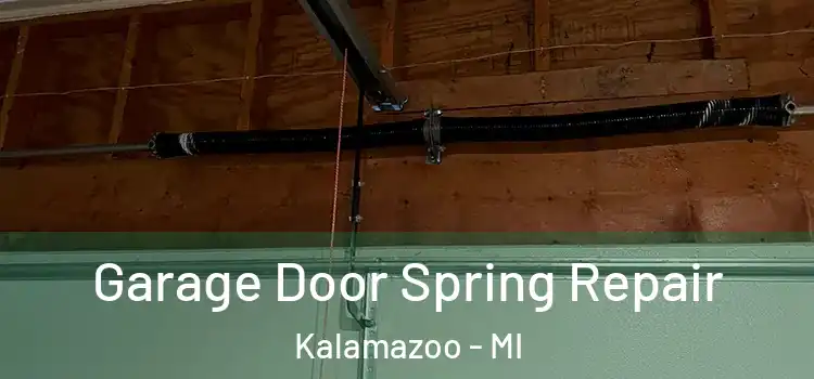  Garage Door Spring Repair Kalamazoo - MI