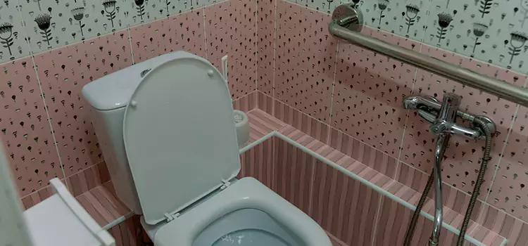 Meeting Diverse Needs With Accessible Restroom Solutions in Kalamazoo, MI