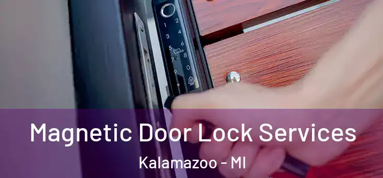 Magnetic Door Lock Services Kalamazoo - MI