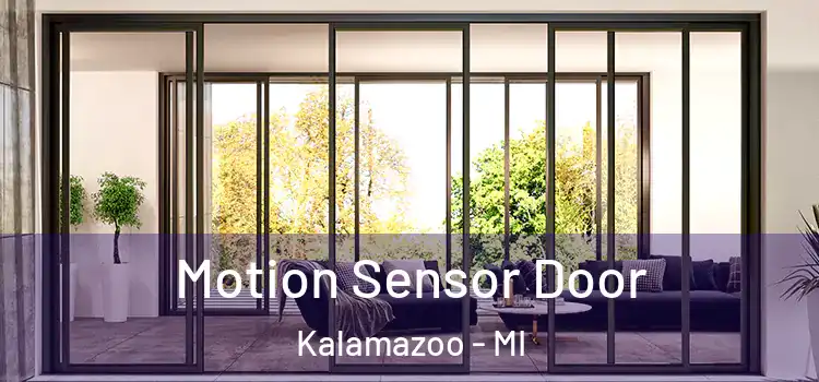  Motion Sensor Door Kalamazoo - MI