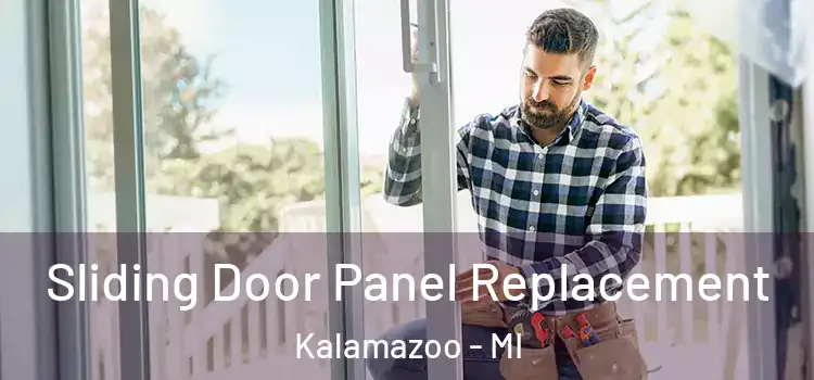  Sliding Door Panel Replacement Kalamazoo - MI
